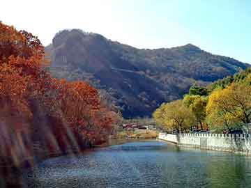 澳门天天免费精准大全，樟树产地